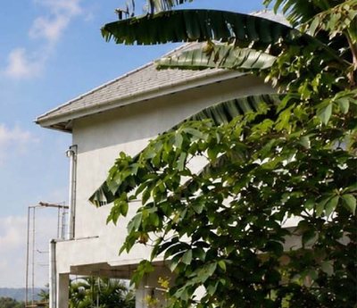 Bangunan villa di antara pepohonan